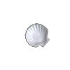 Curves white glaze seashell dish